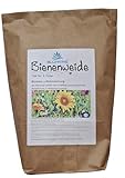 1kg Bienenweide Nektar & Pollen Blühmischung Blumenmischung Blumenwiese für...