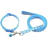 COYUN Welpenhalsbänder mit Leine Set, Hundehalsband und Leine Verstellbares...