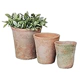 degawo Aged Terracotta Blumentopf 3er Set Übertopf Umtopf rund verschieden...