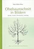 Obstbaumschnitt in Bildern: Kernobst - Steinobst - Beerensträucher - Veredlung...