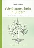 Obstbaumschnitt in Bildern: Kernobst - Steinobst - Beerensträucher - Veredlung