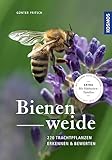 Bienenweide: 220 Trachtpflanzen erkennen und bewerten