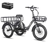 Fafrees [ Offiziell F20 Mate Fat Klapprad E-Bike Lastenfahrrad 20 Zoll 48V...