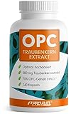 OPC Traubenkernextrakt - 240 Kapseln mit 75% reinem OPC je Kapsel -...