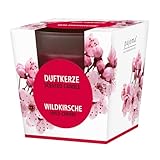 pajoma® Duftkerze, Wildkirsche - im satinierten Glas | 120g Wachsgewicht,...