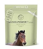 Annimally Muskelaufbau Pulver für Pferde 2kg mit Sojaprotein, Lysin, Carnitin,...