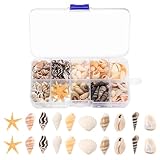 1 Box/ca. 220 StückMuscheln zum Basteln, Natürliche Muscheln Deko Muscheln mit...