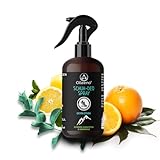 OLLEENO® Schuhdeo Spray gegen Gerüch (250 ML) – Natürliches Schuhspray mit...