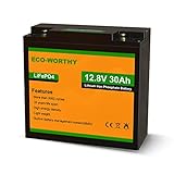 ECO-WORTHY 12V 30Ah LiFePO4 Akku Lithiumbatterie wiederaufladbar mit über 3000...