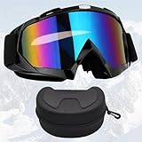 FISH DRAGATE ski motocross motorcycle goggles,skibrille für...