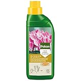 Pokon Spezial-Flüssigdünger für prächtige Blüten, 500ml - Für alle...