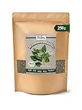 Biojoy BIO-Brennessel-Tee (250 g), Brennnesselblätter getrocknet und...