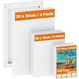 Koncci Leinwand zum Bemalen - 9 Stück (30x20 20x15 15x10cm) Keilrahmen Leinwand...