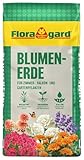 Floragard Blumenerde 40 L – hochwertige Universalerde mit Ton &...