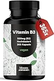 Vitamin B3 Niacinamide Hochdosiert - 365 Kapseln mit 500 mg pro Kapsel, vegan &...