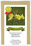 Gemeine Nachtkerze - Heilpflanze - essbar - Insektenmagnet - 1000 Samen