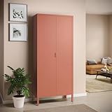 skølm Ituri Metallschrank Terrakotta – Kleiderschrank mit 6 Fächern & 2...