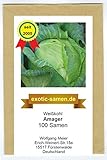 weißkohl - Amager - 100 Samen
