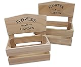 Spetebo Deko Pflanzkasten Natur - 2er Set - Holz Pflanzgefäß Blumen Kasten...