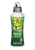 COMPO Grünpflanzendünger und Palmendünger – Spezial-Flüssigdünger für...