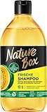 Nature Box Shampoo Frische (385 ml), Shampoo für fettigen Ansatz & trockene...