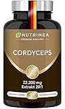 Cordyceps - 22200 mg - Cordycepsmyzel-Extrakt 20:1