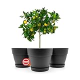 BigDean 3 Stück Blumentopf mit Untersetzer rund ø47 cm in Anthrazit –...