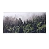 Klarstein Infrarotheizung mit Thermostat, 700W Elektroheizung, Smart Home...