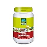 Amino-Muskelaufbau 1,2 kg Dose