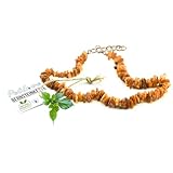 PetLove Bernsteinkette Hund • 100% Baltischer Bernstein • Halsband für...