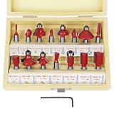 flintronic Fräser-Set, 8MM Fräsen Werkzeug Set, 15-TLG Holzkoffer...