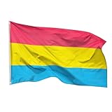 PHENO FLAGS Pan Flagge 90x150cm - wetterbeständige Pride Fahne mit...