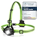 LUMEFIT Lauflicht mit Reflektoren, ideal zum Joggen und Laufen, mit 500 Lumen...