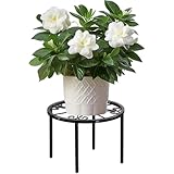 niffgaff Pflanzenständer-Pflanzenregal Gartenregal, 20cm Rostschutz...