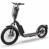 Elektro Scooter mit Straßenzulassung ABE E-Scooter Elektroroller eKFV Zulassung...