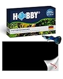 HOBBY Aquaristik Black/Deep Blue I 60 cm x 30 cm I Fotorückwand für Aquarien I...