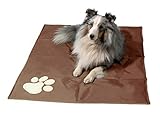 dobar® 60421 Kühlmatte für Hunde - Hundekühlmatte für Hund & Katze -...