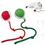 WinGluge 2 Stück Interaktives Katzenspielzeug Elektrisch - 360° Rolling Smart...