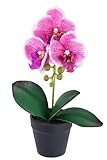 Künstliche Orchidee Phalaenopsis im Topf 30cm Real Touch Blüten realistische...