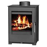 VICTORIA-05 Ltd. EEK A+ Kaminofen Holz One Holzofen 5 kW Kamin Ofen...