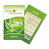 Kopfsalat Attractie Attraktion Samen - Lactuca sativa - Kopfsalatsamen -...