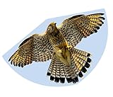 Günther Flugspiele 1230 - Einleiner-Drachen Falke, ca. 92 x 62 cm,...