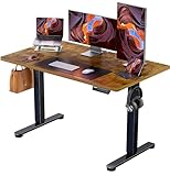 ErGear Elektrisch Höhenverstellbarer Schreibtisch 120 x 60 cm, Schreibtisch...