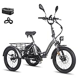 Fafrees Dreirad e Bike F20 Mate, Upgrade 2025 E-Bike 3 Rad 48V 21Ah Akku, E Bike...
