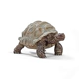 schleich WILD LIFE 14824 Realistische, Exotische Galapagosschildkröte - Tiere...