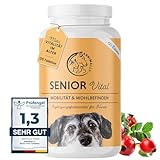 Annimally Senior Vital 120 Gelenktabletten für Hunde mit MSM, Ingwer,...