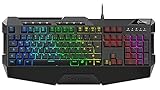 Sharkoon Skiller SGK4 Gaming Keyboard RGB, N-Key-Rollover, (Deutsches...