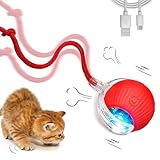 Katzenspielzeug, Geräuscharmes Katzenspielzeug Selbstbeschäftigung,...