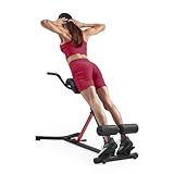 Sunny Health & Fitness Klappbarer Roman Chair Rückentrainer...