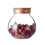 Glasbehälter mit Korkverschluss, Aufbewahrungsglas, als Terrarium verwendbar,...